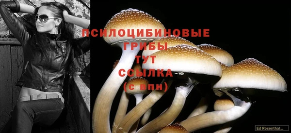 марки lsd Лагань