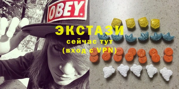 ECSTASY Богородицк