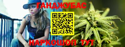 гидра Гатчина