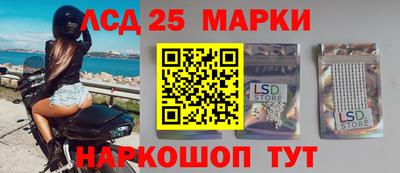 гидра Гатчина