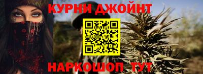 гидра Гатчина
