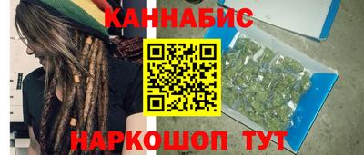гидра Гатчина