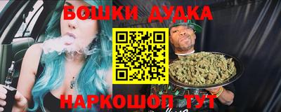 гидра Гатчина