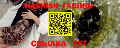 гидра Гатчина